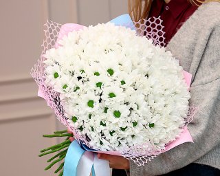 Букет из 25 белых кустовых хризантем Бакарди в дизайнерской упаковке