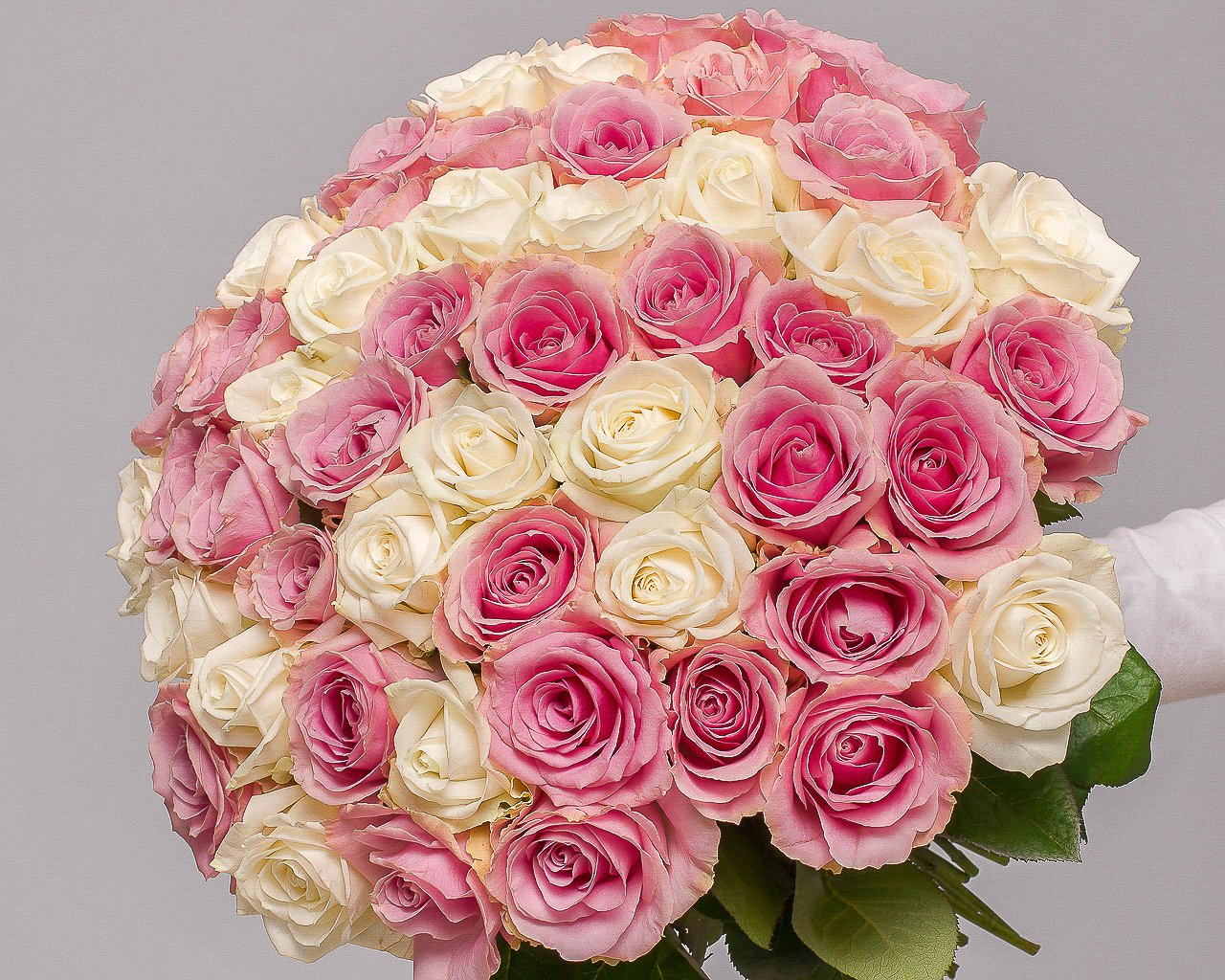 Букет из 51 белой и розовой розы 35-40 см (Россия) под ленту - 3