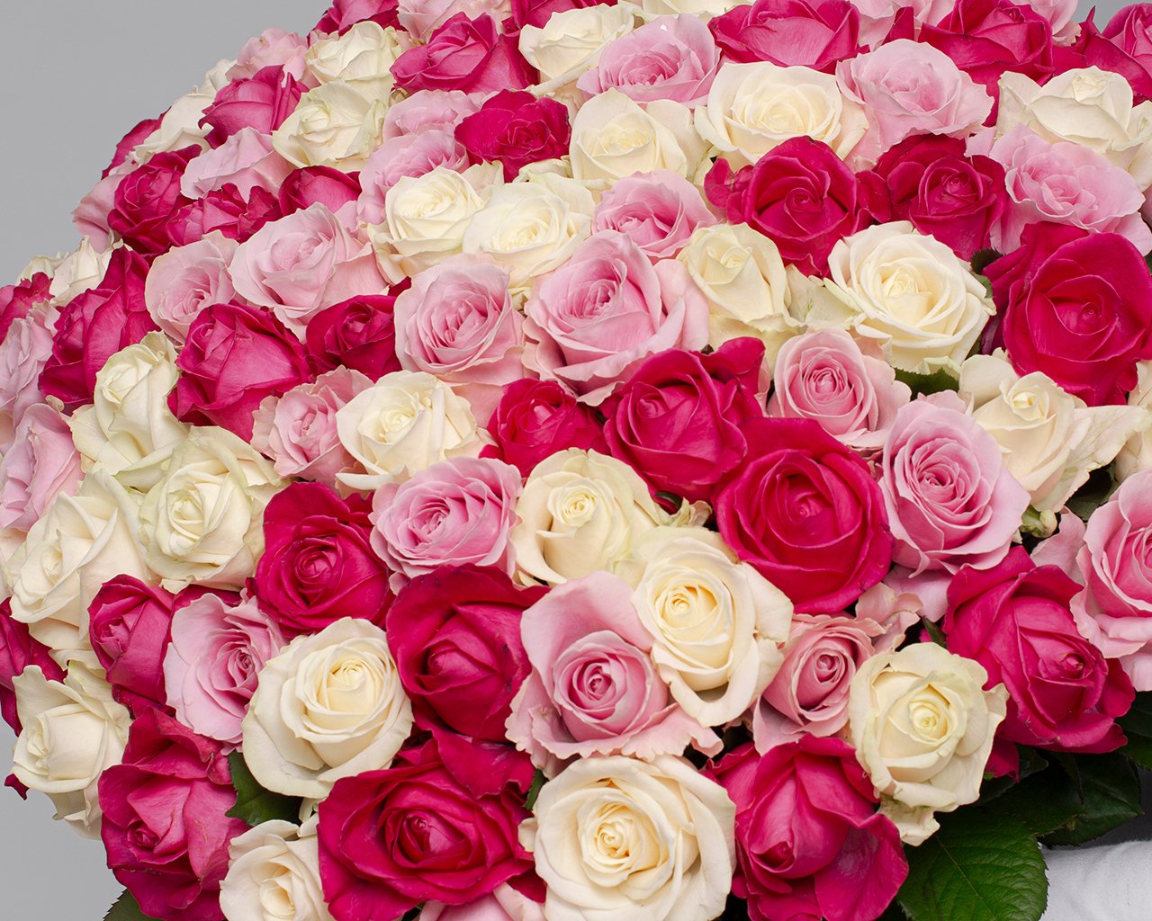 Букет из 101 розы нежный микс 50-60 см (Россия) под ленту - 3