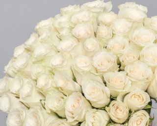 Букет из 51 белой розы (Кения) 35-40 см под ленту  small - 3