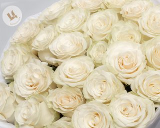 Букет из 25 белых роз 60-70 см (Эквадор) в упаковке  small - 4