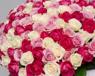 Букет из 101 розы нежный микс 50-60 см (Россия) под ленту small - 3