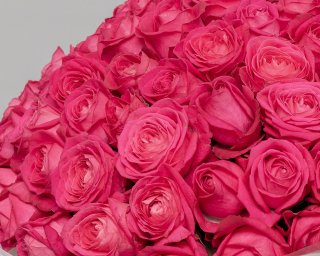 Букет из 101 малиновой розы 50-60 см (Россия) в стильной упаковке  small - 4