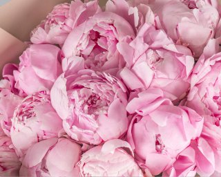 Букет цветов Привязанность  small - 4