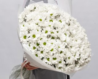 Букет из 25 белых хризантем Бакарди в упаковке  small - 2