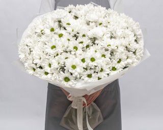 Букет из 25 белых хризантем Бакарди в упаковке  small - 3