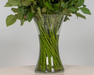 Роза Кения микс 35-40 см  small - 4