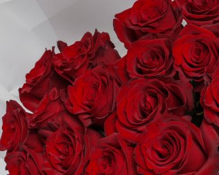 Букет из 15 красных роз премиум 70-80 см (Эквадор) в упаковке  small - 4