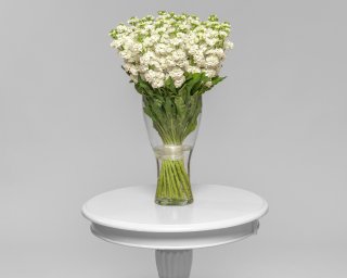 Маттиола белая  small - 2