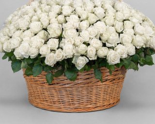 Корзина цветов из 351 белой розы 50-60 см (Эквадор)  small - 2