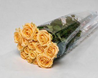 Пачка из 15 кремовых роз (Россия) 40 см small - 2