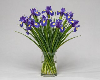 Пачка из 10 синих ирисов  small - 3