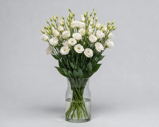 Пачка из 10 белых эустом  small - 3