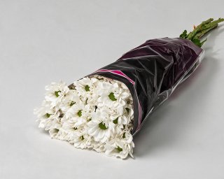 Пачка из 5 белых кустовых хризантем Бакарди  small - 2