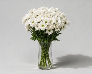 Пачка из 5 белых кустовых хризантем Бакарди  small - 3