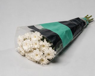 Пачка из 5 кустовых белых хризантем Балтика  small - 2