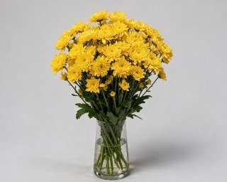 Пачка из 5 кустовых желтых хризантем Балтика  small - 3
