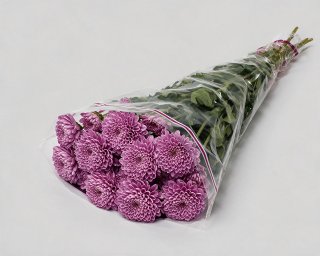 Пачка из 5 кустовых фиолетовых хризантем Балтика  small - 2