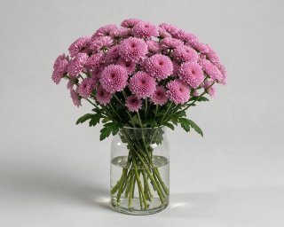 Пачка из 5 кустовых фиолетовых хризантем Балтика  small - 3
