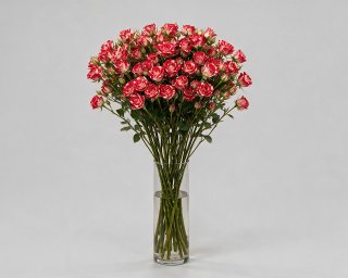 Пачка из 10 кустовых роз Файерворкс (Кения) 60-70 см  small - 3