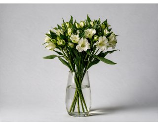 Пачка из 10 белых альстромерий  small - 3