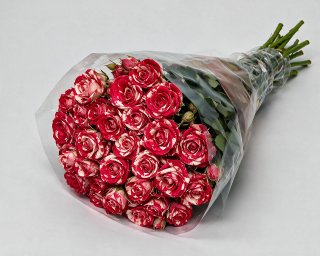 Пачка из 10 кустовых роз 40см (Кения) Файерворкс  small - 2