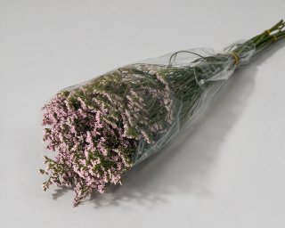 Пачка из 10 ветвей лимониума  small - 2