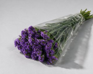Пачка из 10 ветвей статицы  small - 2