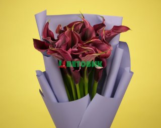 Букет из 19 калл в стильной упаковке  small - 4