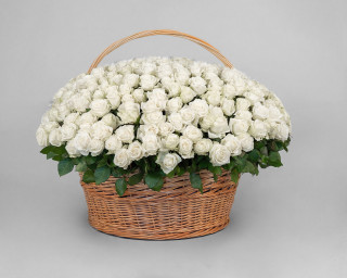 Корзина цветов из 351 белой розы 50-60 см (Эквадор)  small - 1