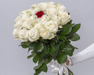 Букет из розы 50-60 см (Россия) с красной розой в центре под ленту    25 шт small - 1