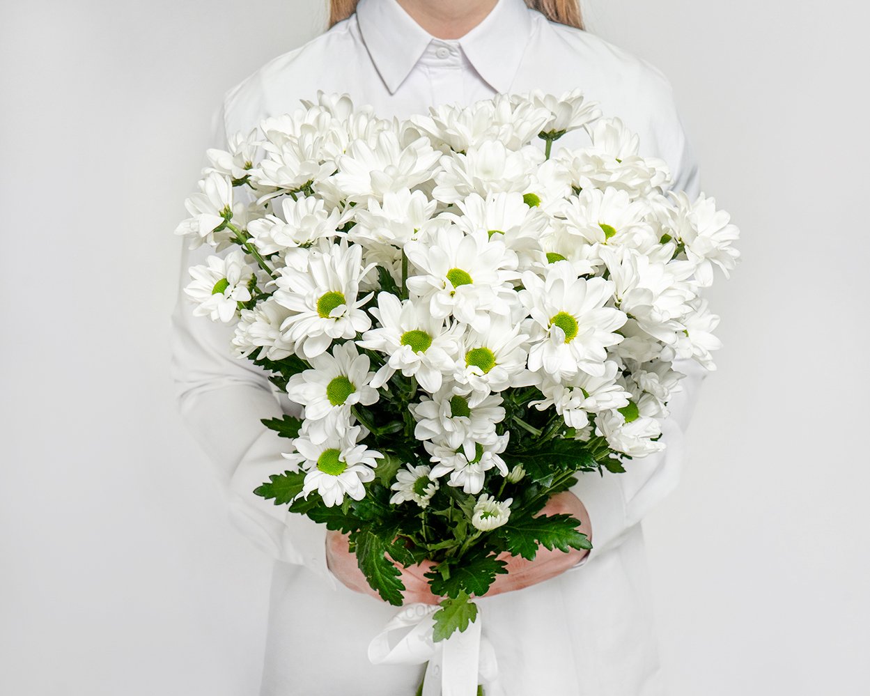 Букет из белых хризантем (Бакарди) под ленту - 2