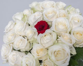 Букет из розы 50-60 см (Россия) с красной розой в центре под ленту    25 шт small - 4