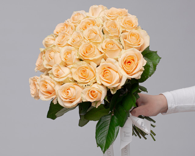 Букет из 25 кремовых роз 35-40 см (Россия) под атласную ленту  - 1