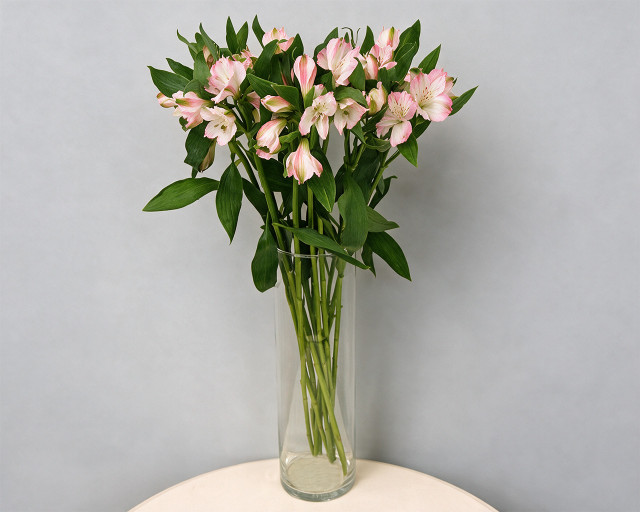 Альстромерия розовая  - 1